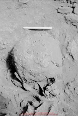 Khirokitia, négatifs 3354 à 3388
