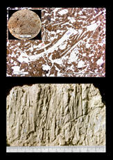 
Reconstitution de l'habitat néolithique à Khirokitia (Chypre). Fragment de terre d'une toiture n...