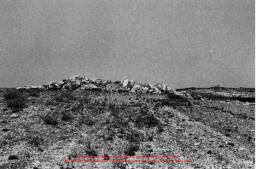 Film n°55. Prospection d'Iraq al-Amir, juillet 1984