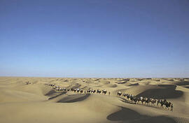 
Chemins vers l'Orient, Chine. Désert du Taklamakan (Xinjiang), caravane de chameaux
