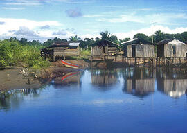 
Trois millénaires de civilisation entre Colombie et Equateur. La région de la Tumaco La Tolita. ...