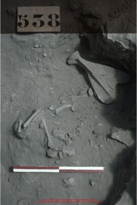 Khirokitia, sépulture 538