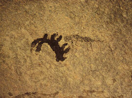 
Des peintures rupestres d'Afrique Australe. Angola. Scène de chasse. Un félin, un guépard, sembr...