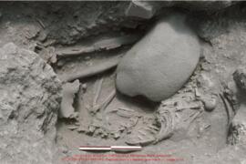 Khirokitia, sépulture 558