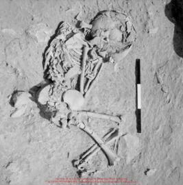 Khirokitia, négatifs 3200 à 3209