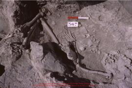 Khirokitia, sépulture 367