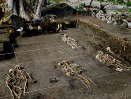 
Un parcours océanien en images. Hommage à José Garanger (1926-2006). Retoka (Vanuatu), aucun squ...