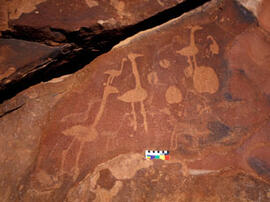 
Des peintures rupestres d'Afrique Australe. Namibie. Dans leur grande majorité, les gravures rep...