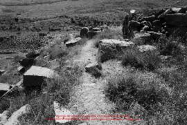 Film n°32. Khirbat adh-Dharih (Wadi Laaban), juin 1983