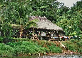 
Trois millénaires de civilisation entre Colombie et Equateur. La région de la Tumaco La Tolita. ...