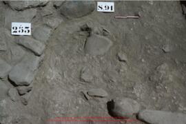 Khirokitia, habitation, structure 91