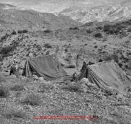 Film n°84. Khirbat adh-Dharih, campagne 2, novembre-décembre 1985
