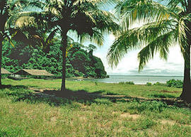 
Trois millénaires de civilisation entre Colombie et Equateur. La région de la Tumaco La Tolita. ...