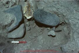 Khirokitia, sépulture 277