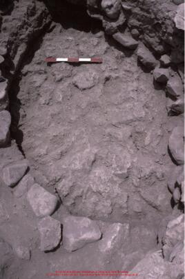 Khirokitia, habitation, structure 131