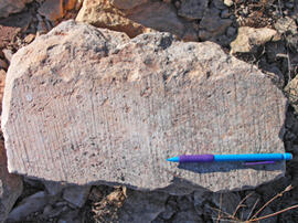 
Les carrières de El Ferriol et l'atelier de sculpture d'Elche (Alicante). Traces d'outil : sciage
