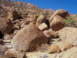 
Des peintures rupestres d'Afrique Australe. Namibie. Brandberg. Région de la cavité avec peintur...