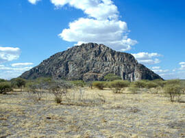 
Des peintures rupestres d'Afrique Australe. Botswana. Au nord-ouest du Botswana se trouve l'ense...