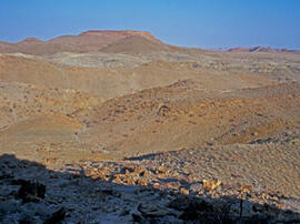 
Des peintures rupestres d'Afrique Australe. Namibie. Toujours au nord- ouest de la Namibie, on t...