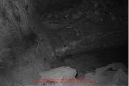 Film n°24. Iraq al-Amir, fouilles du village, chantier B et chantier de la grotte G2