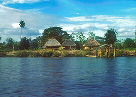 
Trois millénaires de civilisation entre Colombie et Equateur. La région de la Tumaco La Tolita. ...