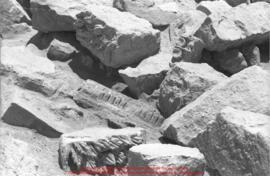 Film n°257. Khirbat adh-Dharih, photographies de Yarmouk, juillet 1996