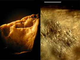 
Chaîne d'observations microscopiques : un outil pour la recherche. Images numériques. Tracéologi...