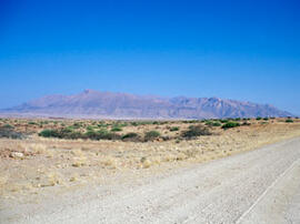 
Des peintures rupestres d'Afrique Australe. Namibie. Massif de Brandberg, au nord ouest de la Na...