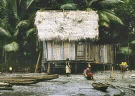 
Trois millénaires de civilisation entre Colombie et Equateur. La région de la Tumaco La Tolita. ...