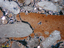 
Chaîne d'observations microscopiques : un outil pour la recherche. Images numériques. Micromorph...