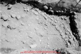 Khirokitia, négatifs n°6935 à 6961